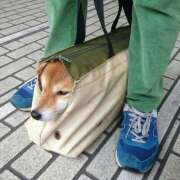 ヒメ日記 2025/11/04 18:43 投稿 体験なな ミセスコレクション