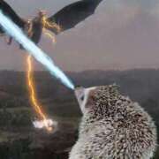 ヒメ日記 2025/11/05 00:53 投稿 体験なな ミセスコレクション