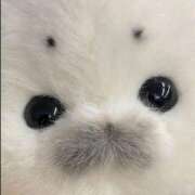 ヒメ日記 2025/11/05 08:23 投稿 体験なな ミセスコレクション