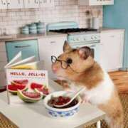 ヒメ日記 2025/11/06 12:08 投稿 体験なな ミセスコレクション