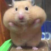 ヒメ日記 2025/11/06 19:23 投稿 体験なな ミセスコレクション