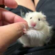 ヒメ日記 2025/11/07 01:43 投稿 体験なな ミセスコレクション