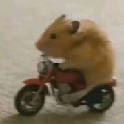 ヒメ日記 2025/11/07 08:03 投稿 体験なな ミセスコレクション