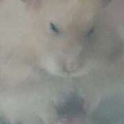 ヒメ日記 2025/11/08 01:53 投稿 体験なな ミセスコレクション