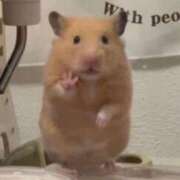 ヒメ日記 2025/11/08 08:03 投稿 体験なな ミセスコレクション