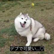 ヒメ日記 2025/11/09 01:53 投稿 体験なな ミセスコレクション