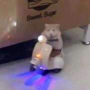 ヒメ日記 2025/11/09 08:13 投稿 体験なな ミセスコレクション