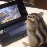 ヒメ日記 2025/11/11 20:13 投稿 体験なな ミセスコレクション