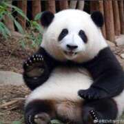 ヒメ日記 2025/11/11 21:43 投稿 体験なな ミセスコレクション