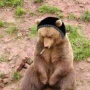 ヒメ日記 2025/11/12 00:13 投稿 体験なな ミセスコレクション