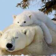 ヒメ日記 2025/11/12 01:43 投稿 体験なな ミセスコレクション