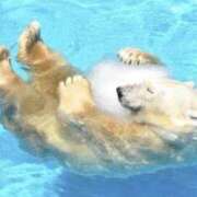 ヒメ日記 2025/11/12 08:20 投稿 体験なな ミセスコレクション