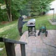 ヒメ日記 2025/11/12 12:06 投稿 体験なな ミセスコレクション