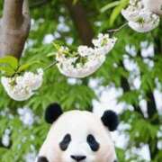 ヒメ日記 2025/11/12 22:13 投稿 体験なな ミセスコレクション