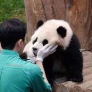 ヒメ日記 2025/11/12 22:25 投稿 体験なな ミセスコレクション