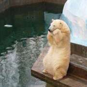 ヒメ日記 2025/11/13 02:03 投稿 体験なな ミセスコレクション