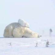 ヒメ日記 2025/11/13 08:23 投稿 体験なな ミセスコレクション