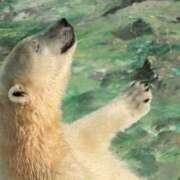 ヒメ日記 2025/11/14 08:03 投稿 体験なな ミセスコレクション