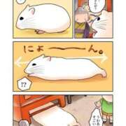 ヒメ日記 2025/11/15 00:13 投稿 体験なな ミセスコレクション