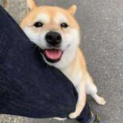 ヒメ日記 2025/11/15 12:08 投稿 体験なな ミセスコレクション