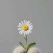 ヒメ日記 2025/11/16 03:23 投稿 体験なな ミセスコレクション