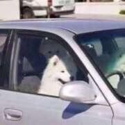 ヒメ日記 2025/11/17 08:13 投稿 体験なな ミセスコレクション