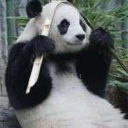 ヒメ日記 2025/11/17 12:13 投稿 体験なな ミセスコレクション