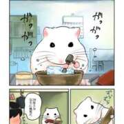 ヒメ日記 2025/11/17 17:53 投稿 体験なな ミセスコレクション