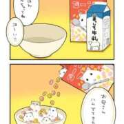 ヒメ日記 2025/11/18 08:03 投稿 体験なな ミセスコレクション