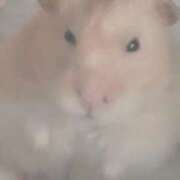 ヒメ日記 2025/11/20 00:53 投稿 体験なな ミセスコレクション