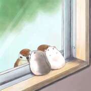 ヒメ日記 2025/11/21 08:03 投稿 体験なな ミセスコレクション