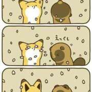 ヒメ日記 2025/11/22 00:03 投稿 体験なな ミセスコレクション