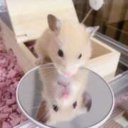 ヒメ日記 2025/11/22 00:37 投稿 体験なな ミセスコレクション