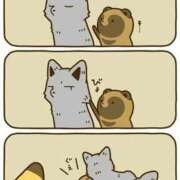 ヒメ日記 2025/11/22 23:13 投稿 体験なな ミセスコレクション