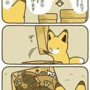 ヒメ日記 2025/11/24 12:07 投稿 体験なな ミセスコレクション