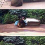 ヒメ日記 2025/11/26 02:13 投稿 体験なな ミセスコレクション