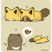 ヒメ日記 2025/11/27 01:43 投稿 体験なな ミセスコレクション