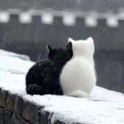 ヒメ日記 2025/11/28 23:23 投稿 体験なな ミセスコレクション