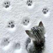 ヒメ日記 2025/11/29 08:13 投稿 体験なな ミセスコレクション