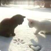 ヒメ日記 2025/11/30 00:23 投稿 体験なな ミセスコレクション