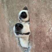 ヒメ日記 2025/11/30 08:23 投稿 体験なな ミセスコレクション