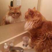 ヒメ日記 2025/12/02 08:13 投稿 体験なな ミセスコレクション