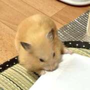 ヒメ日記 2025/12/05 12:13 投稿 体験なな ミセスコレクション