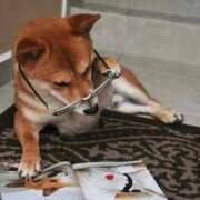 ヒメ日記 2025/12/07 02:03 投稿 体験なな ミセスコレクション