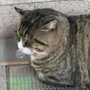 ヒメ日記 2025/12/07 02:33 投稿 体験なな ミセスコレクション