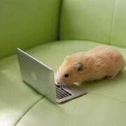 ヒメ日記 2025/12/08 08:13 投稿 体験なな ミセスコレクション