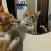 体験なな おはようございます︎💕︎🌟‪🐹🩷 ̖́- ミセスコレクション