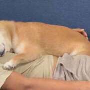 ヒメ日記 2025/12/09 23:33 投稿 体験なな ミセスコレクション