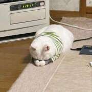 ヒメ日記 2025/12/11 08:13 投稿 体験なな ミセスコレクション