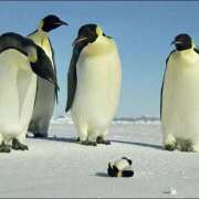 ヒメ日記 2025/12/12 07:53 投稿 体験なな ミセスコレクション